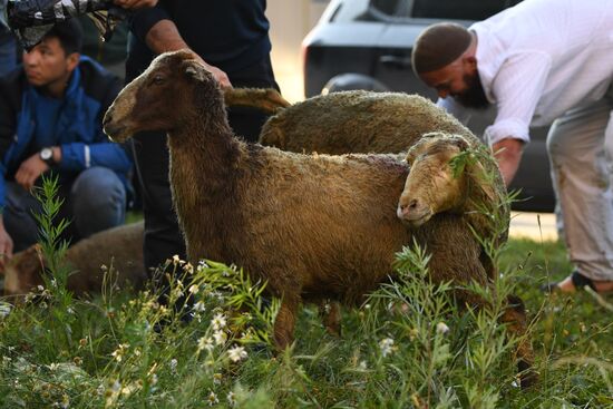 Празднование Курбан-Байрама в регионах России