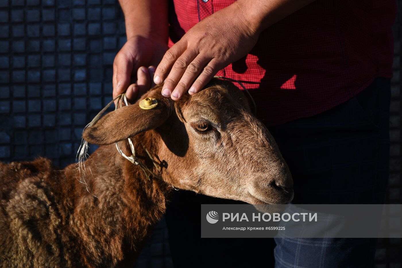 Празднование Курбан-Байрама в регионах России