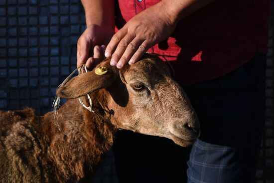 Празднование Курбан-Байрама в регионах России