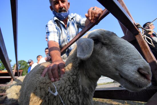 Празднование Курбан-Байрам в регионах России