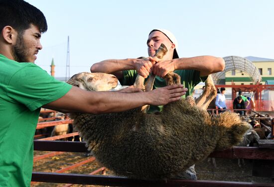 Празднование Курбан-байрам в регионах России