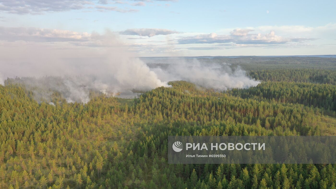 Природные пожары в Карелии