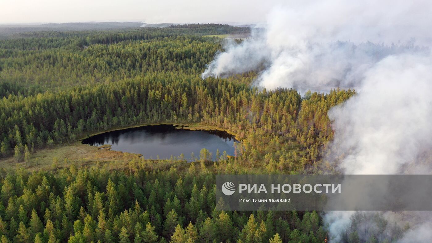 Природные пожары в Карелии