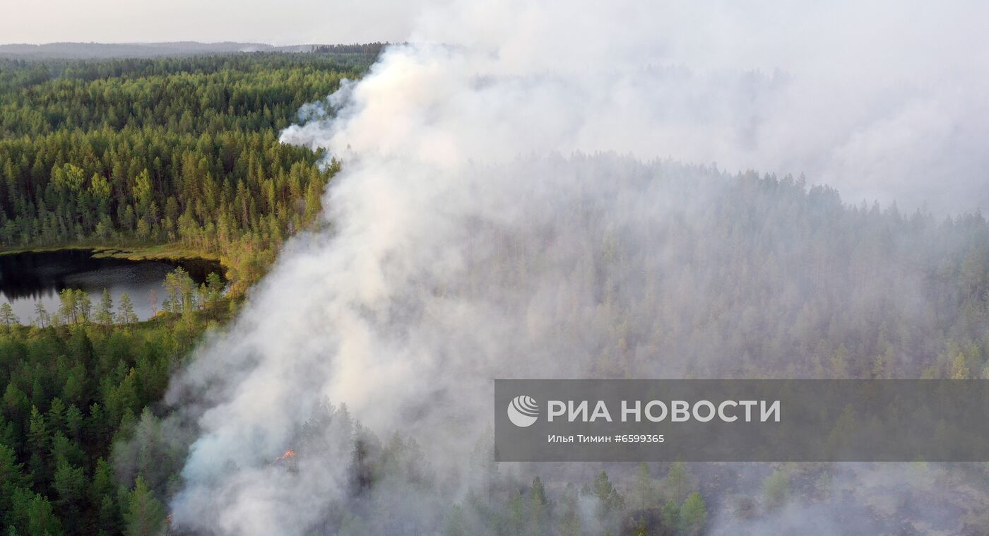 Природные пожары в Карелии