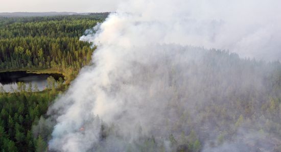 Природные пожары в Карелии