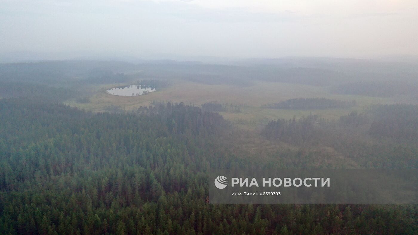 Природные пожары в Карелии