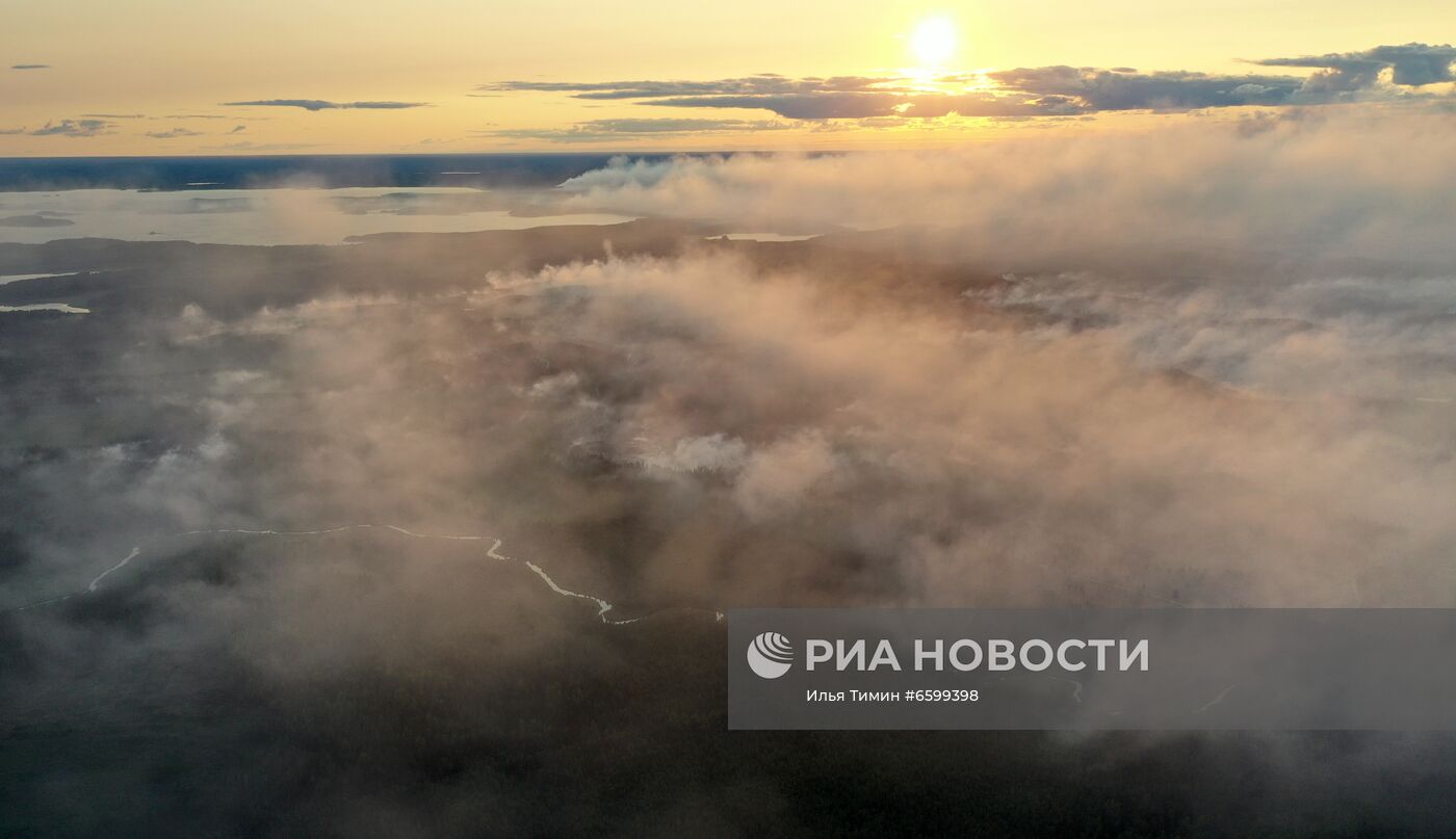 Природные пожары в Карелии