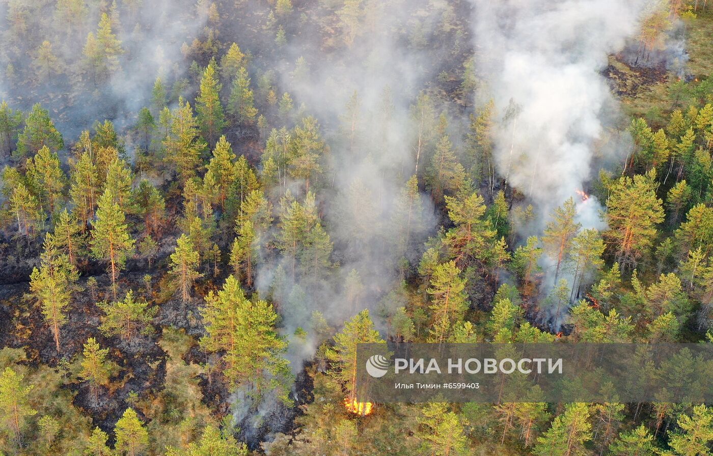 Природные пожары в Карелии