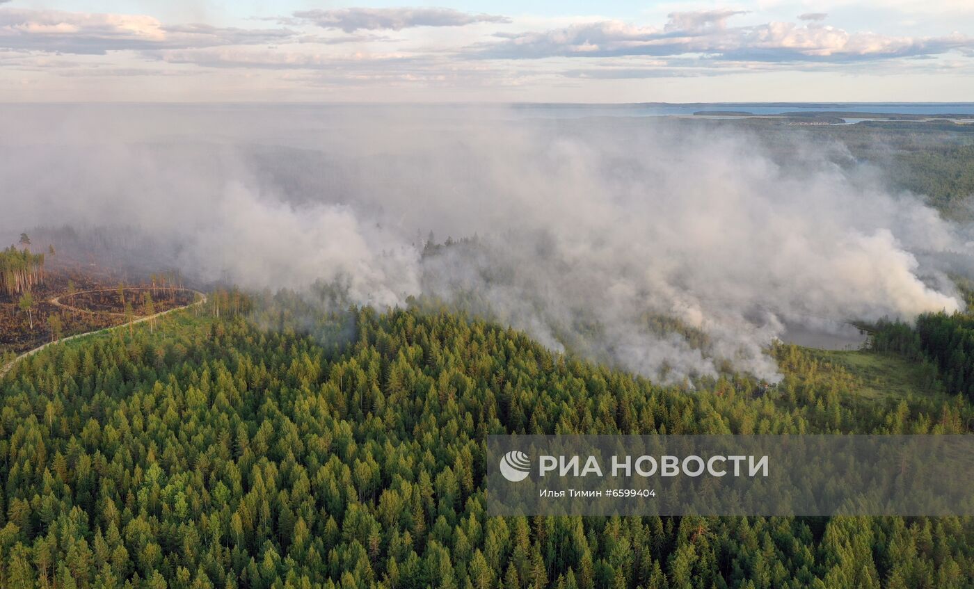 Природные пожары в Карелии