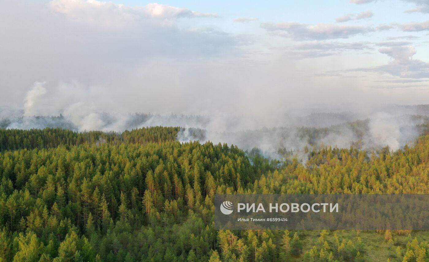 Природные пожары в Карелии