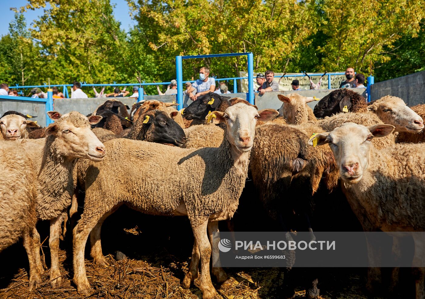 Празднование Курбан-байрам в регионах России