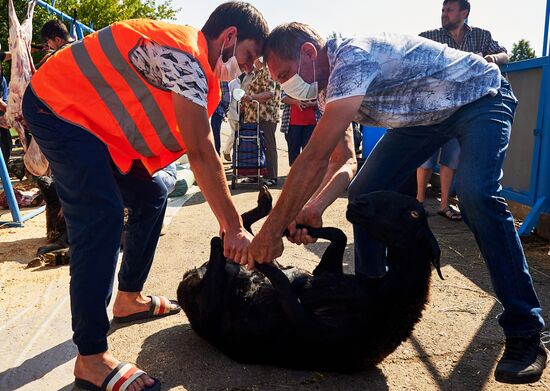 Празднование Курбан-байрам в регионах России