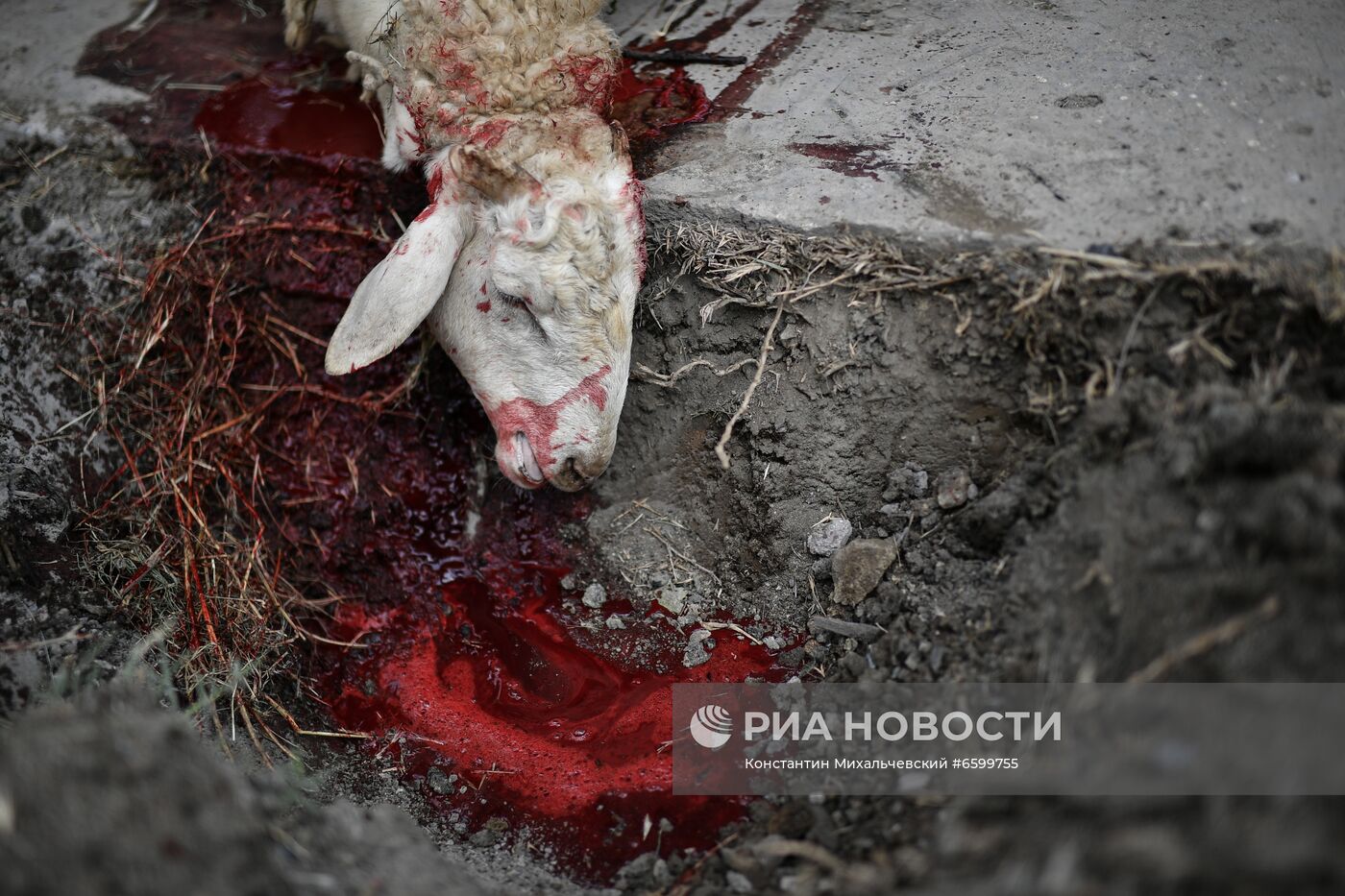 Празднование Курбан-байрам в регионах России