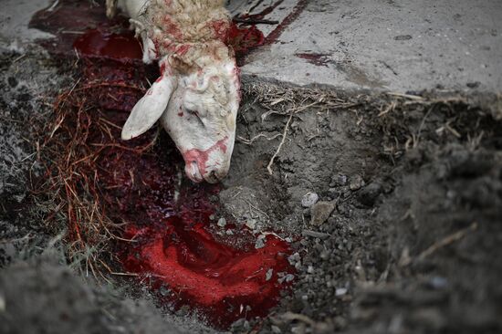 Празднование Курбан-байрам в регионах России