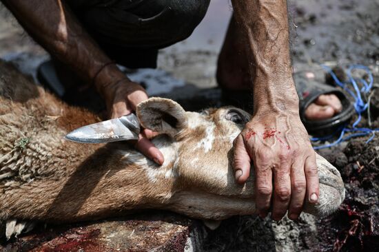 Празднование Курбан-байрам в регионах России