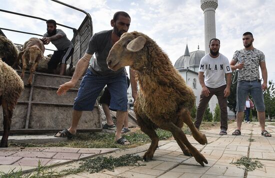 Фото недели