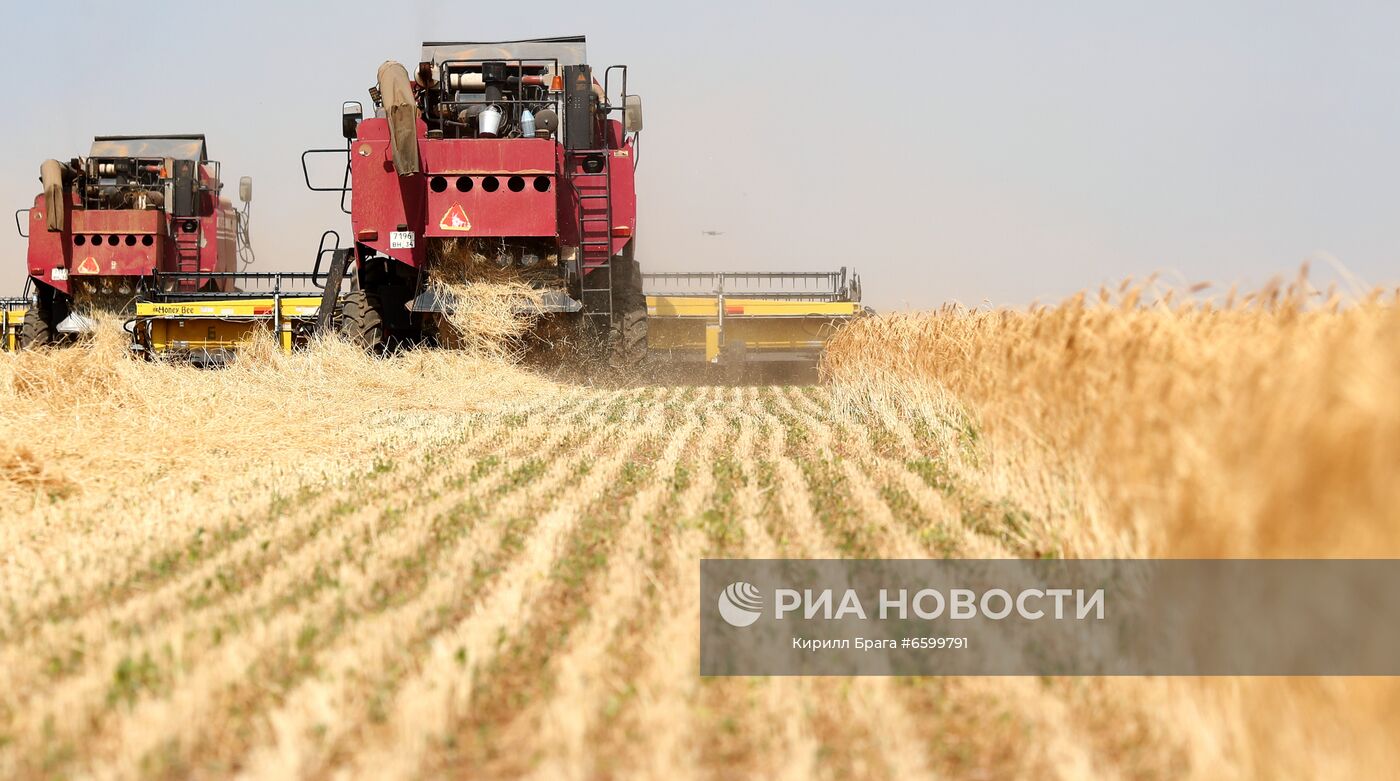 Уборка урожая пшеницы на полях АО "Аксайское" в Октябрьском районе Волгоградской области. Место: Россия, Волгоградская область. Автор: Кирилл Брага/РИА Новости. Фото недели