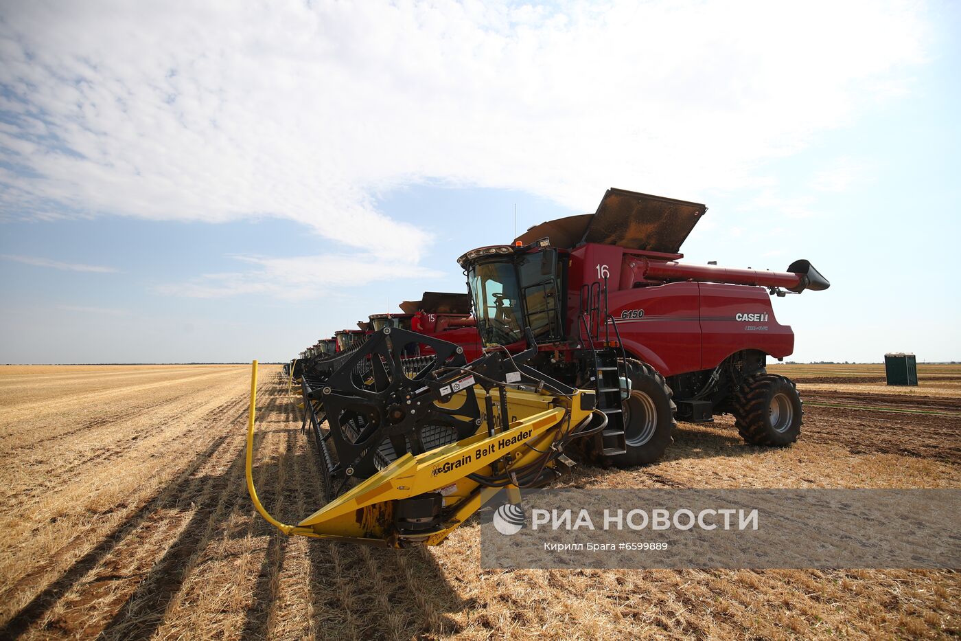 Уборка урожая пшеницы в Волгоградской области