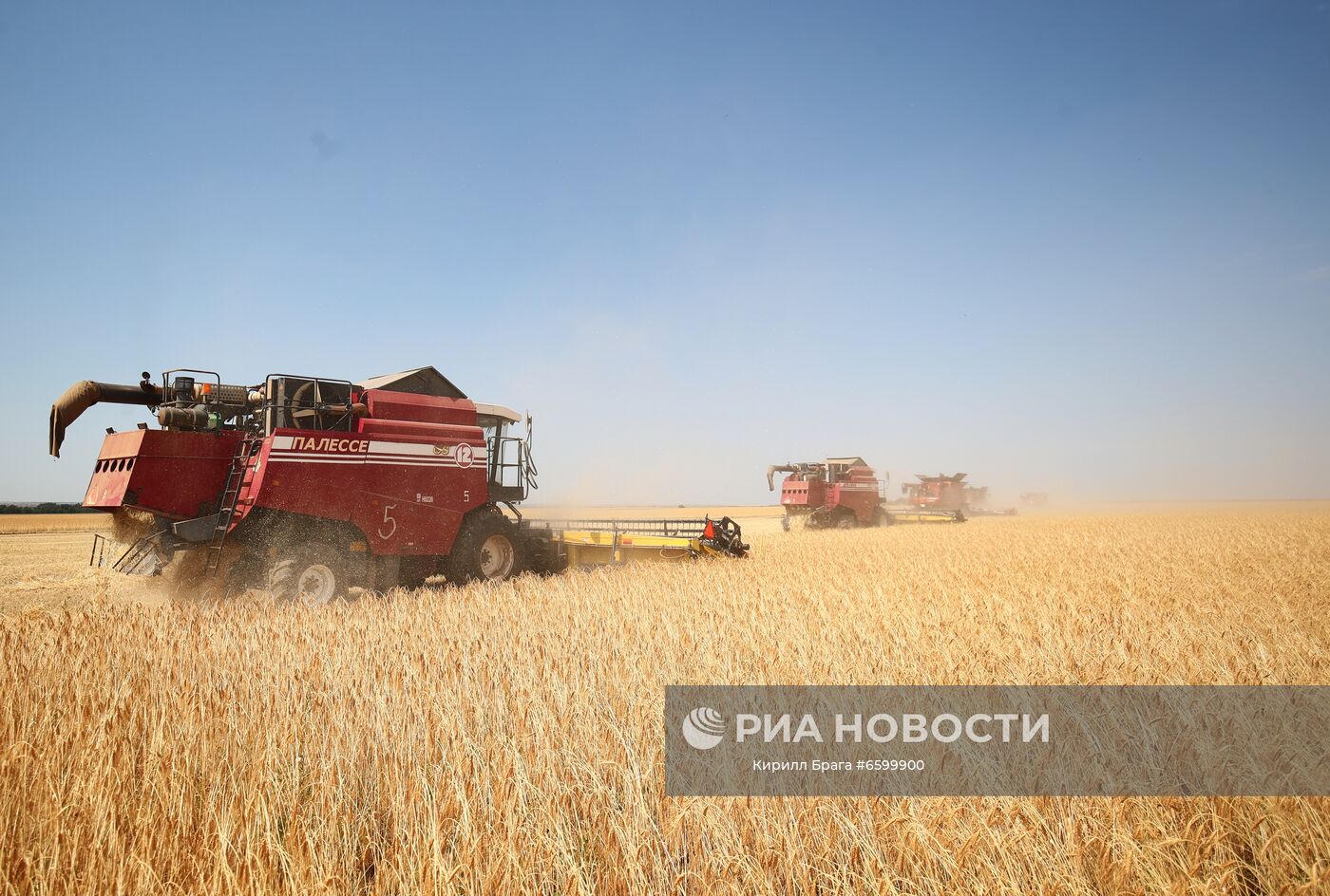 Уборка урожая пшеницы на полях АО "Аксайское" в Октябрьском районе Волгоградской области. Место: Россия, Волгоградская область. Автор: Кирилл Брага/РИА Новости. Уборка урожая пшеницы в Волгоградской области