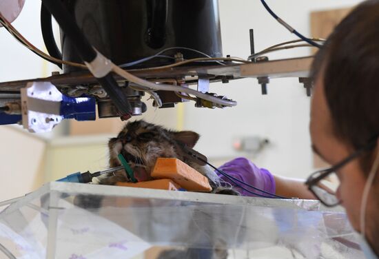 Медицинский радиологический научный центр им. А. Ф. Цыба