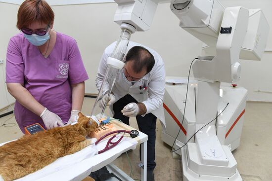 Медицинский радиологический научный центр им. А. Ф. Цыба