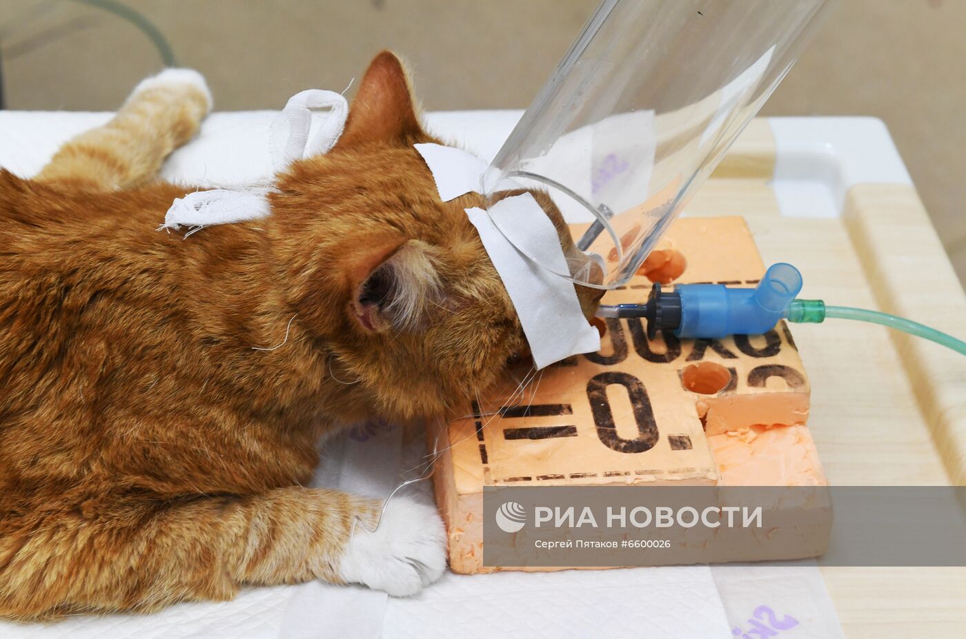 Медицинский радиологический научный центр им. А. Ф. Цыба