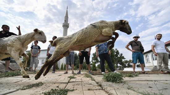 Празднование Курбан-байрам в регионах России