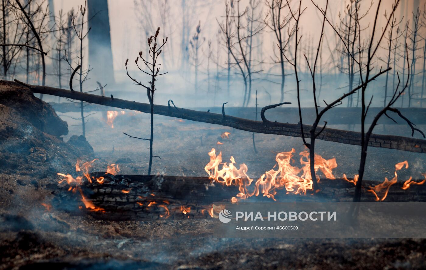 Природные пожары в Якутии