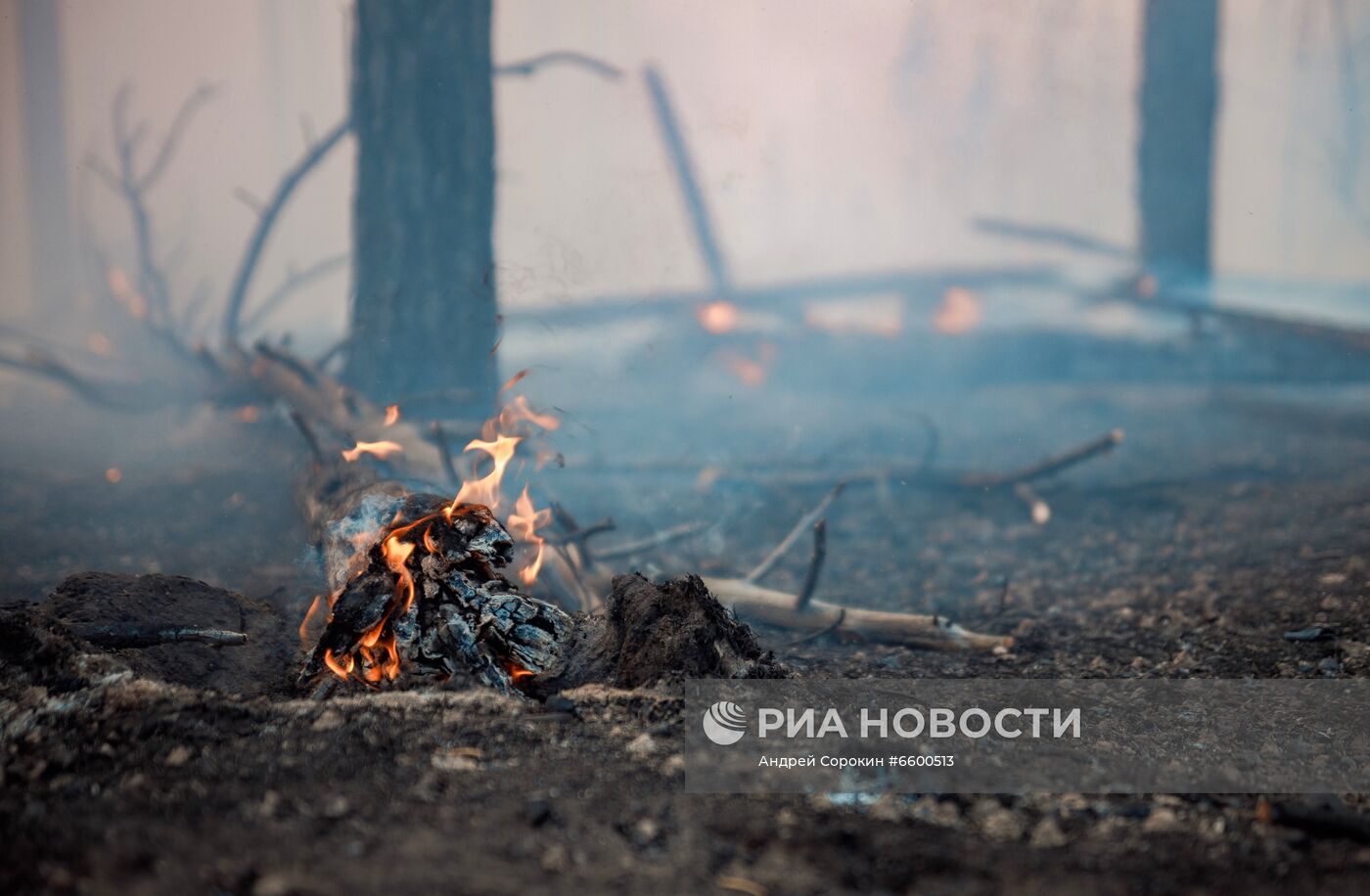 Природные пожары в Якутии