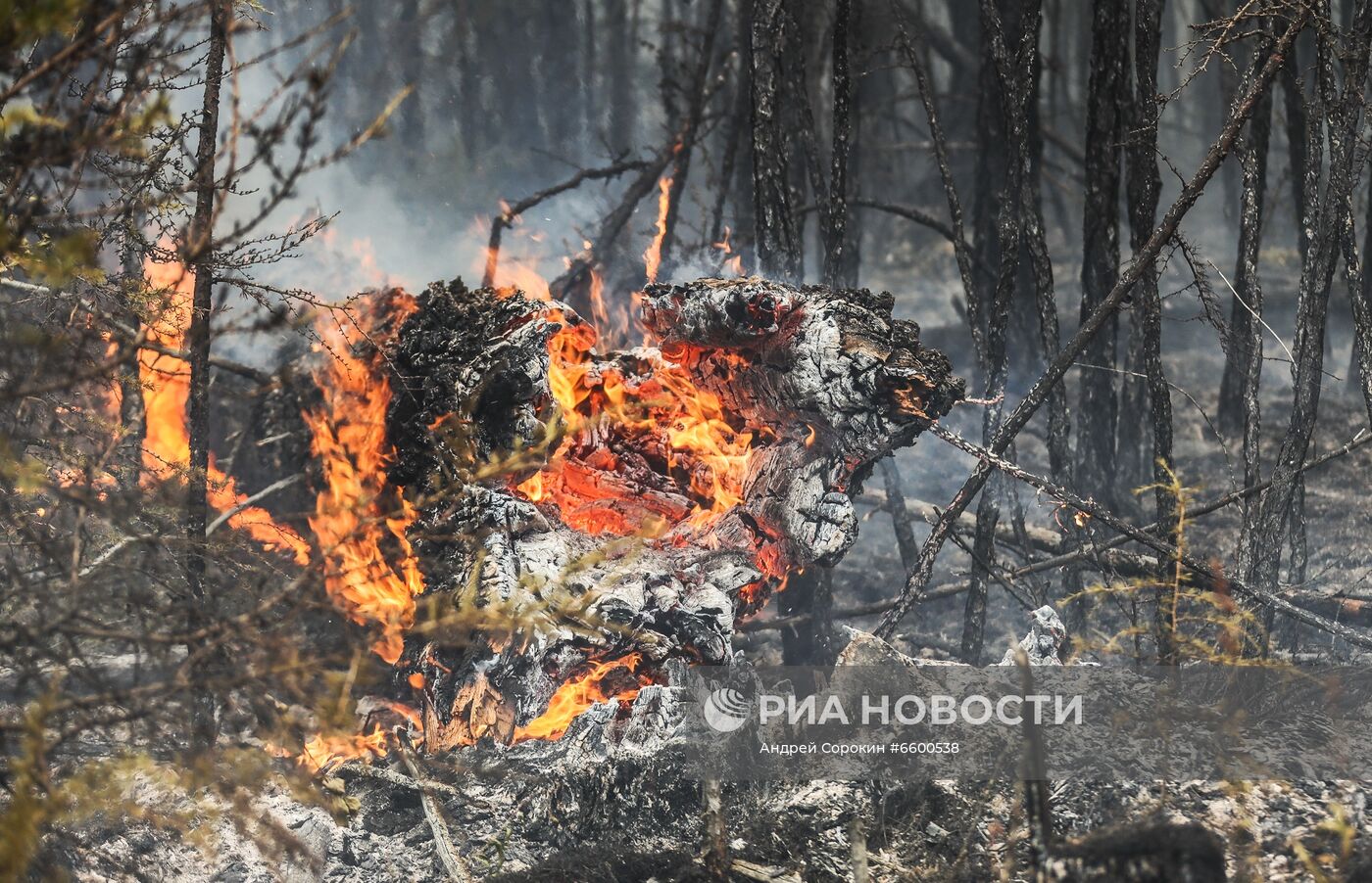 Природные пожары в Якутии