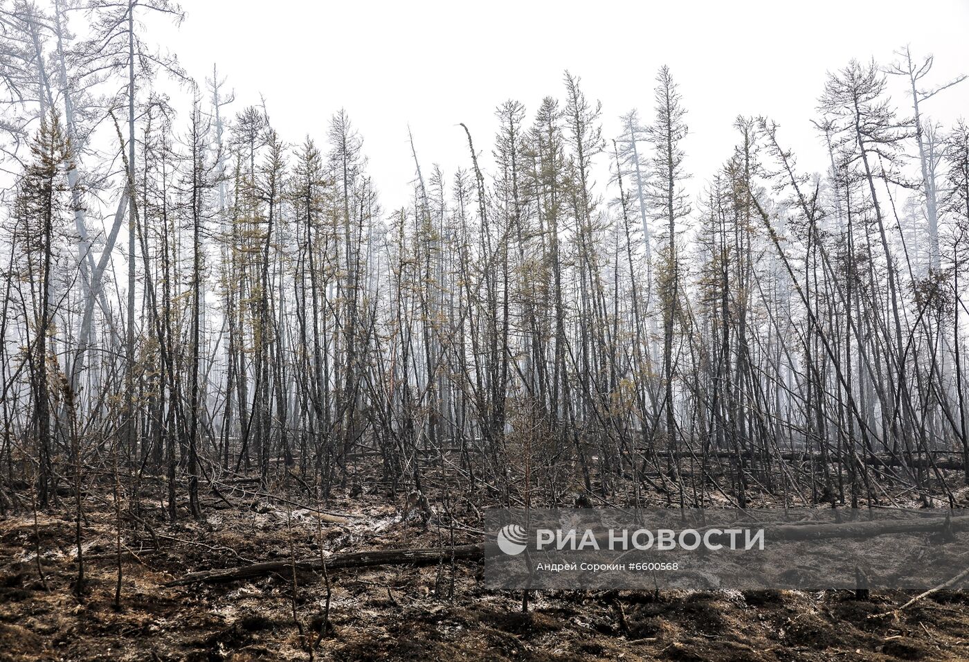 Природные пожары в Якутии