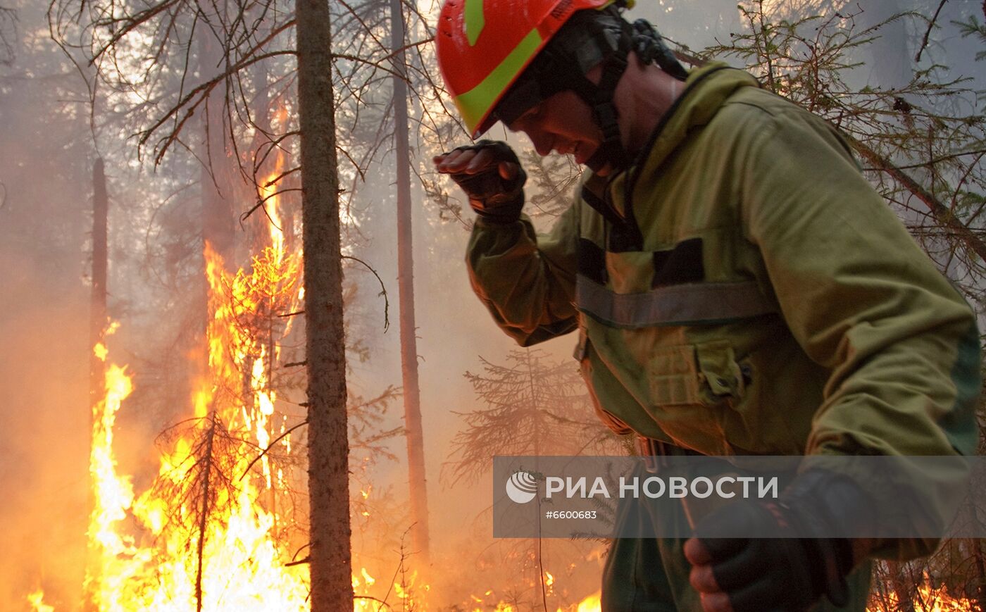 Природные пожары в Якутии