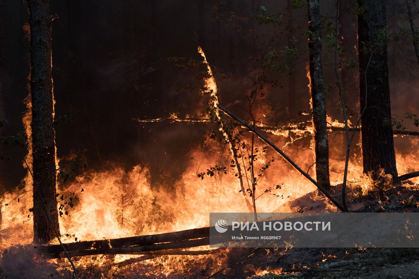 Природные пожары в Карелии