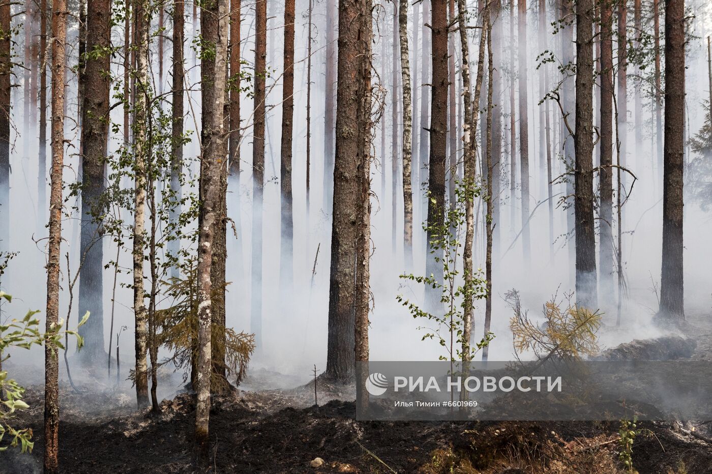 Природные пожары в Карелии