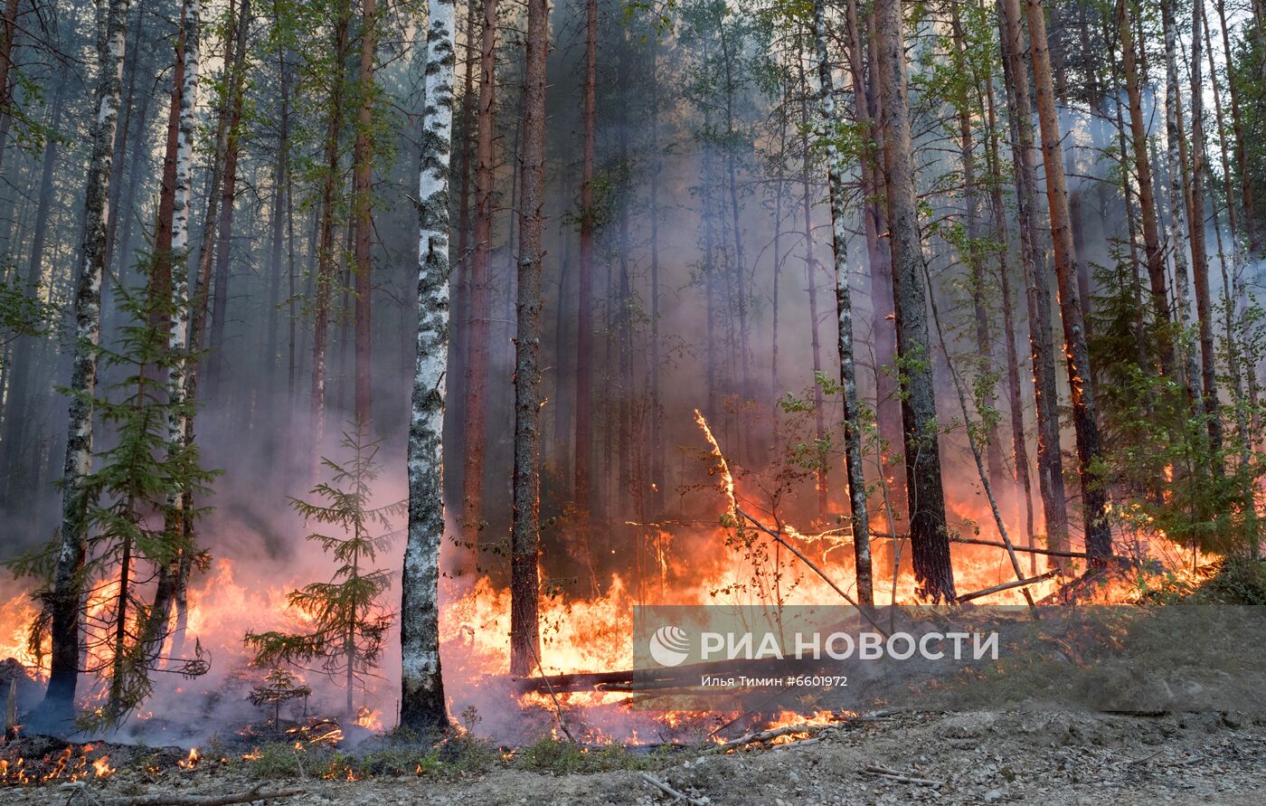 Природные пожары в Карелии