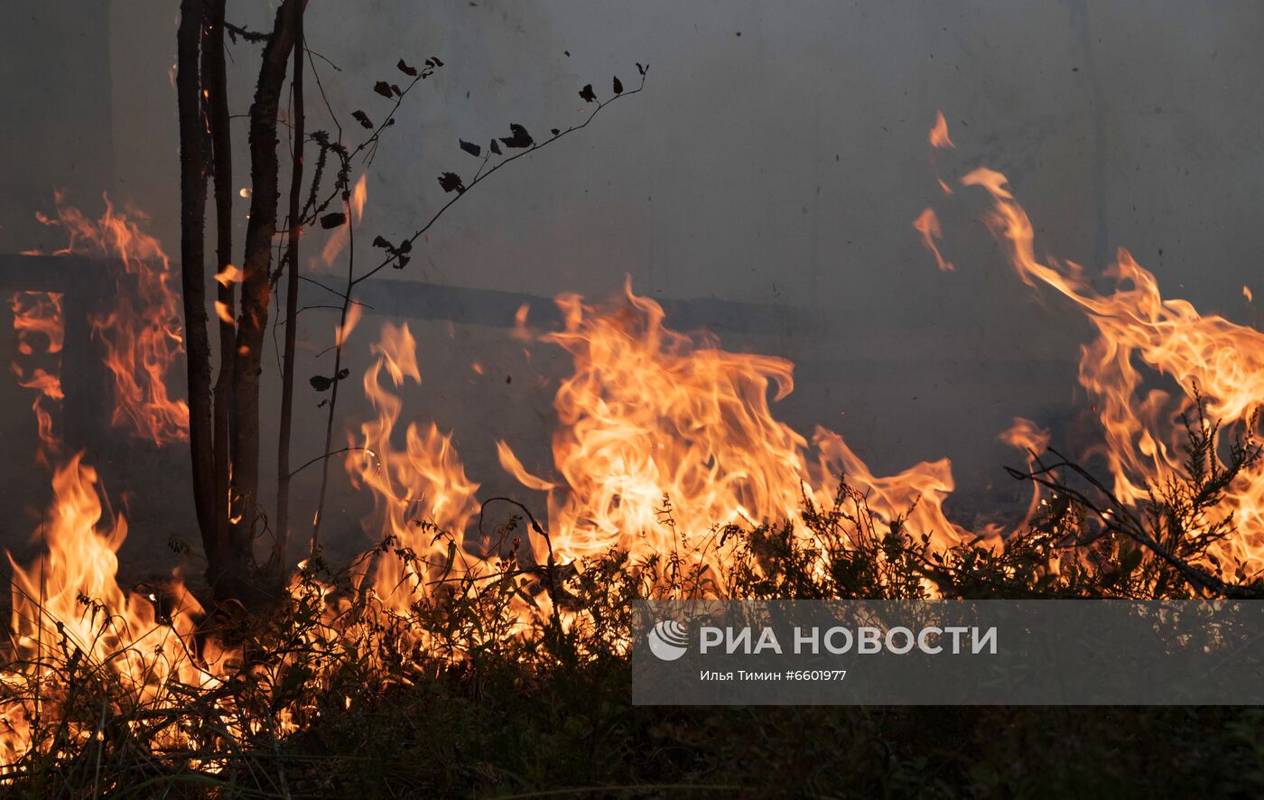 Природные пожары в Карелии