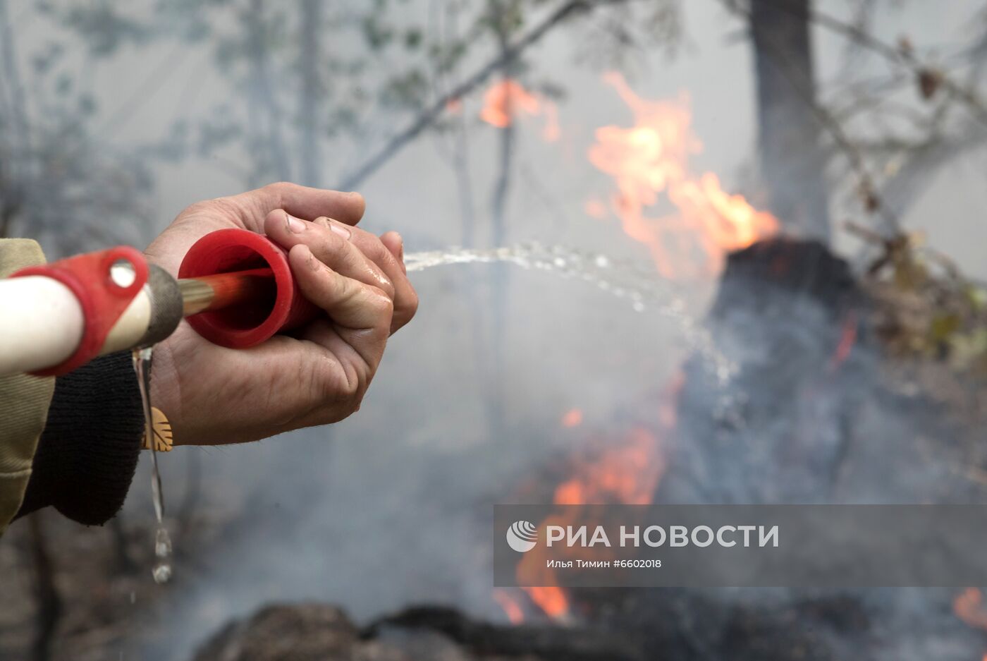 Природные пожары в Карелии