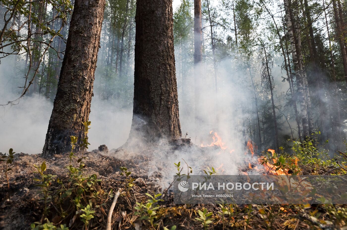 Природные пожары в Карелии