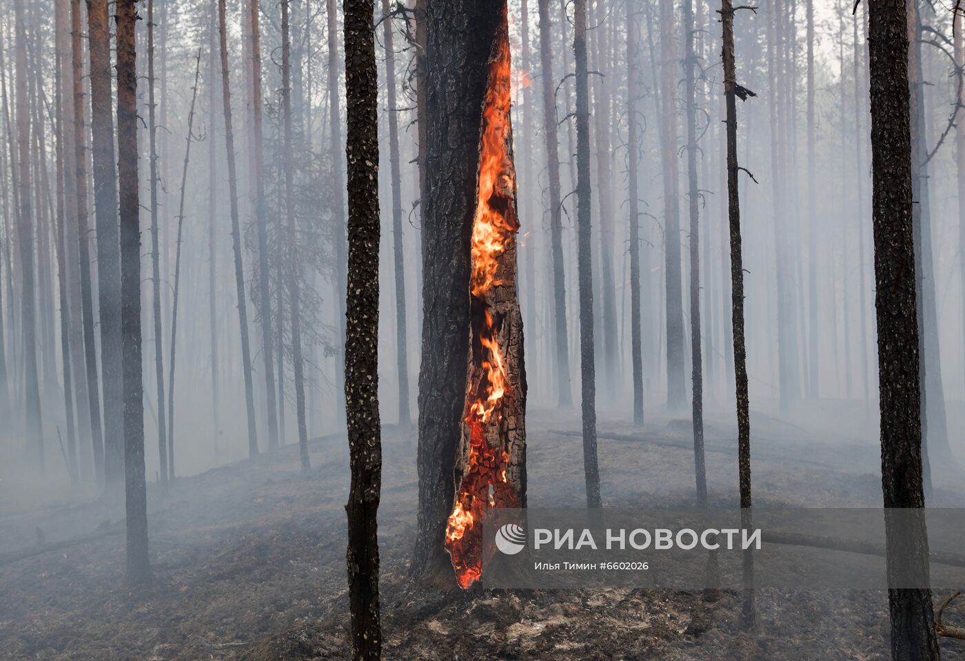 Природные пожары в Карелии