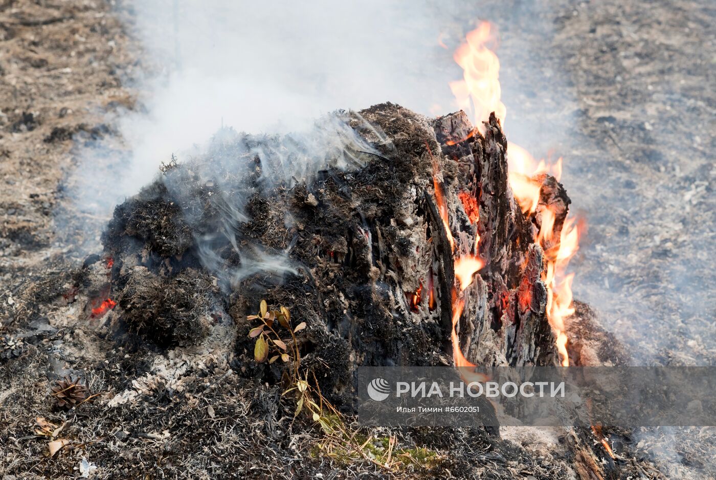 Природные пожары в Карелии