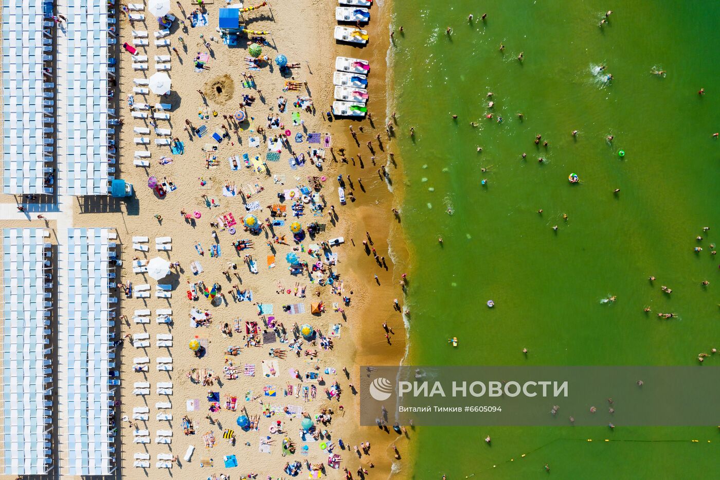 Цветение зеленых водорослей в море у берегов Анапы