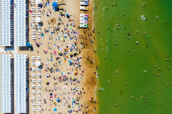 Цветение зеленых водорослей в море у берегов Анапы