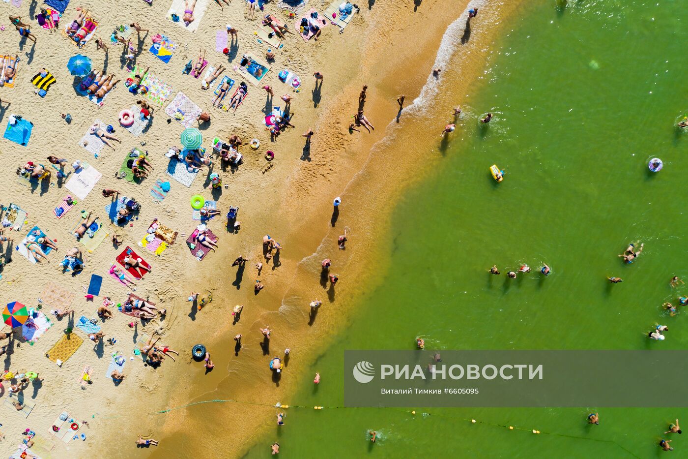 Цветение зеленых водорослей в море у берегов Анапы