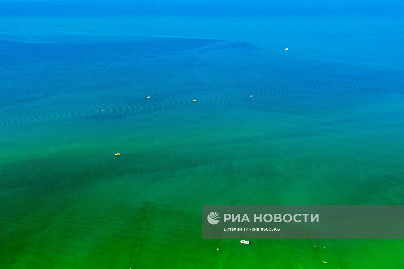 Цветение зеленых водорослей в море у берегов Анапы