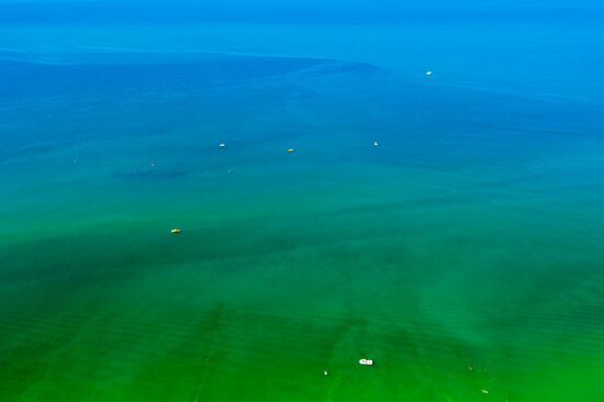 Цветение зеленых водорослей в море у берегов Анапы