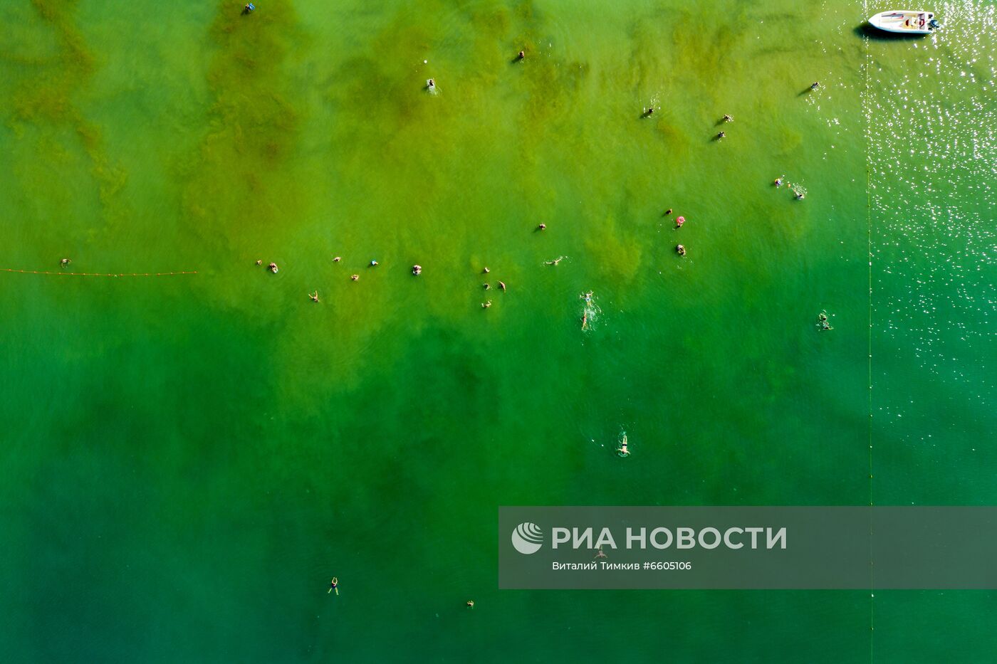 Цветение зеленых водорослей в море у берегов Анапы