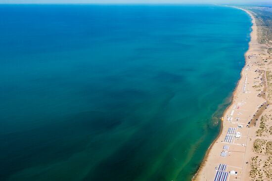 Цветение зеленых водорослей в море у берегов Анапы