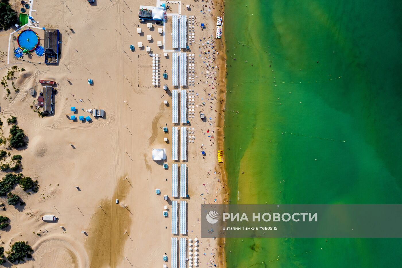 Цветение зеленых водорослей в море у берегов Анапы