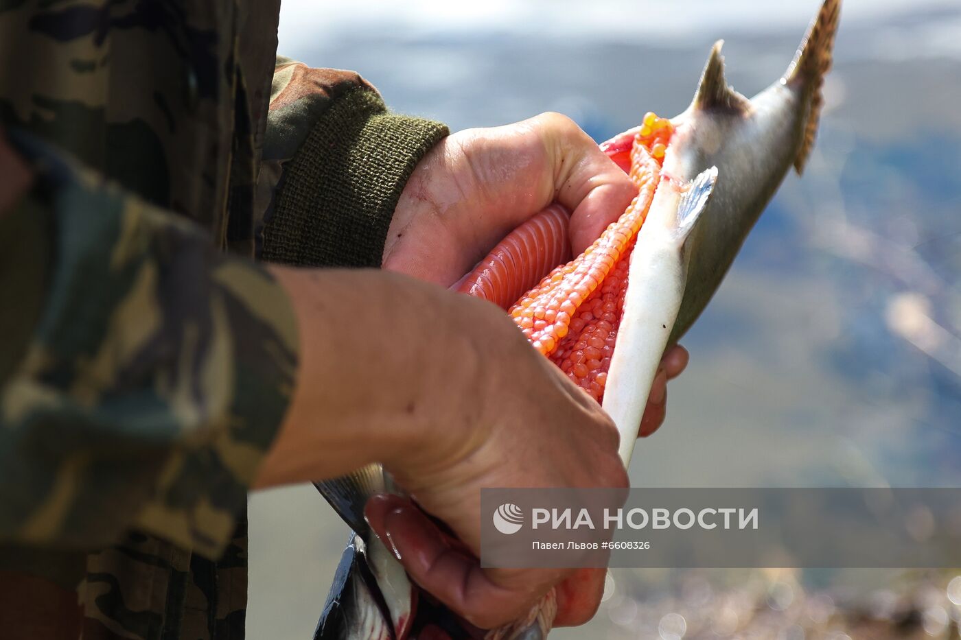 Рыбалка на реке Умба