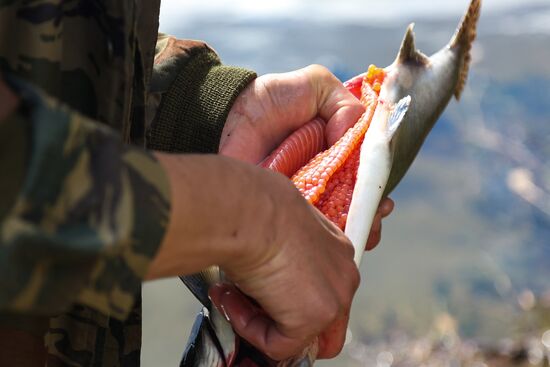 Рыбалка на реке Умба